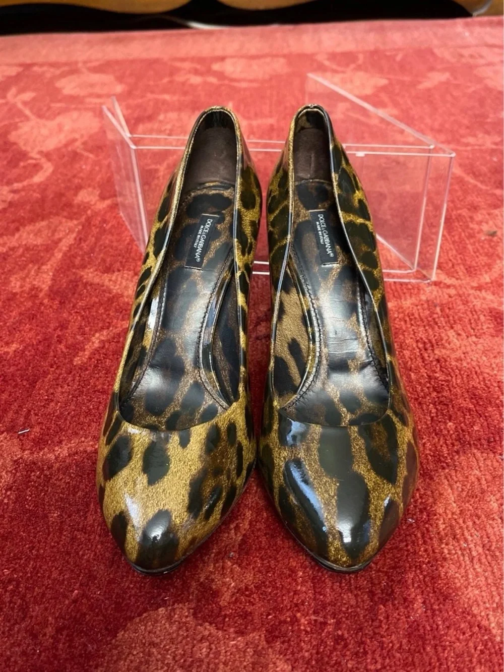 Dolce & Gabbana stylish leopard